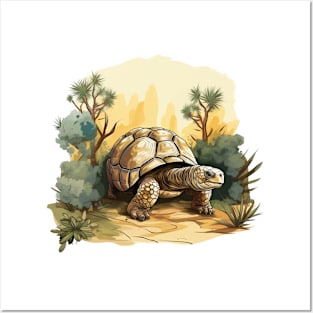 Giant Tortoise Posters and Art